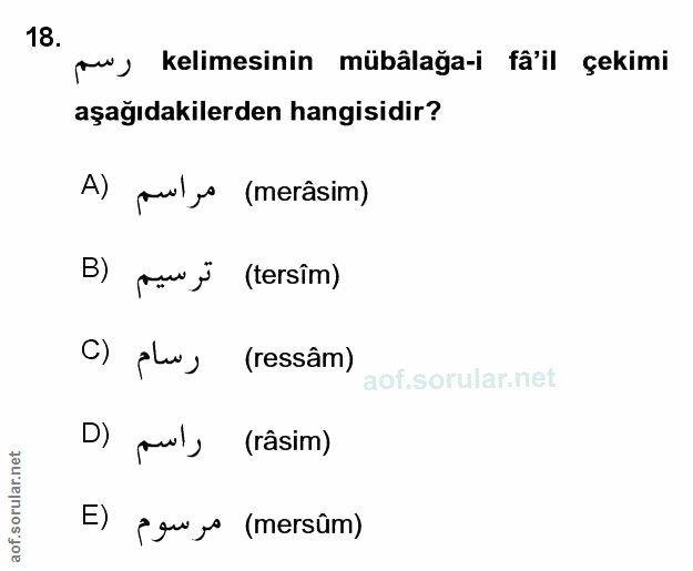 Soru 18