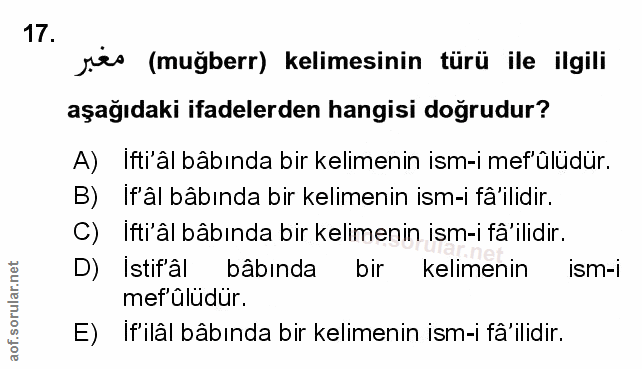Soru 17