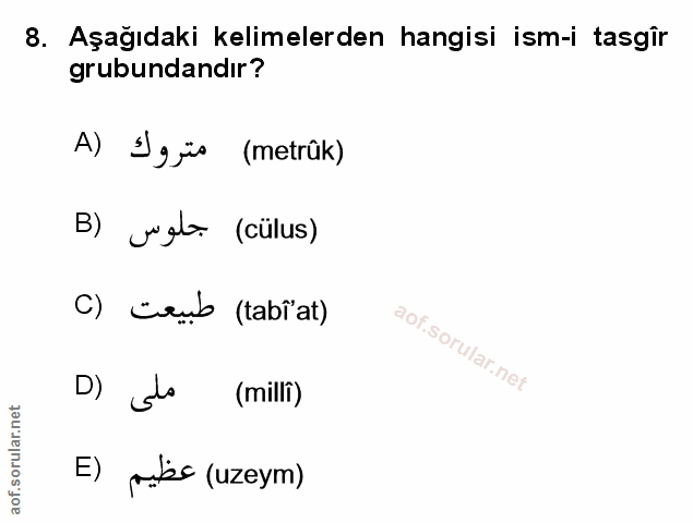Soru 8