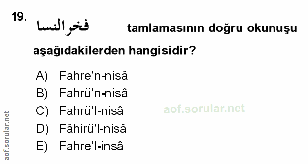 Soru 19