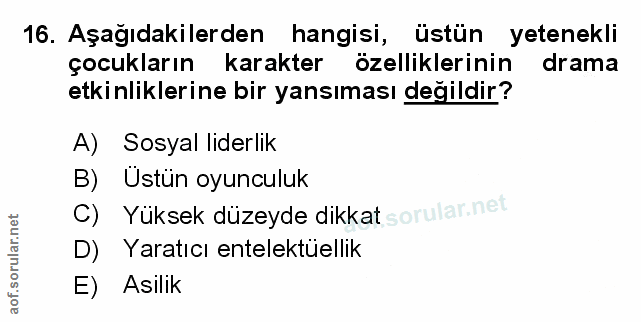 Soru 16