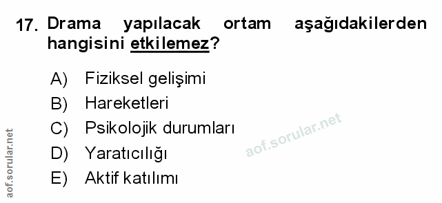 Soru 17