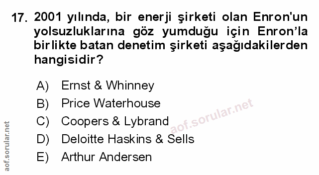 Soru 17