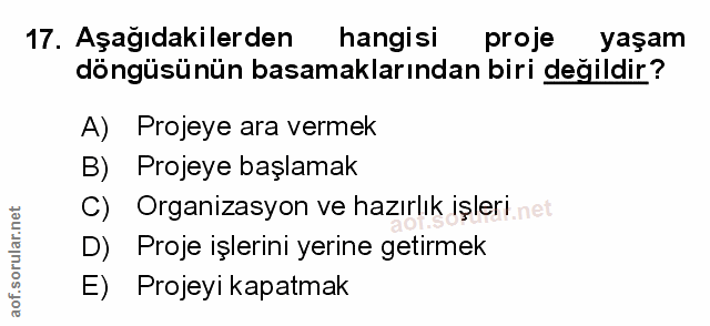 Soru 17