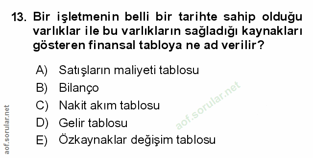 Soru 13