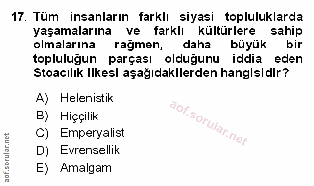 Soru 17
