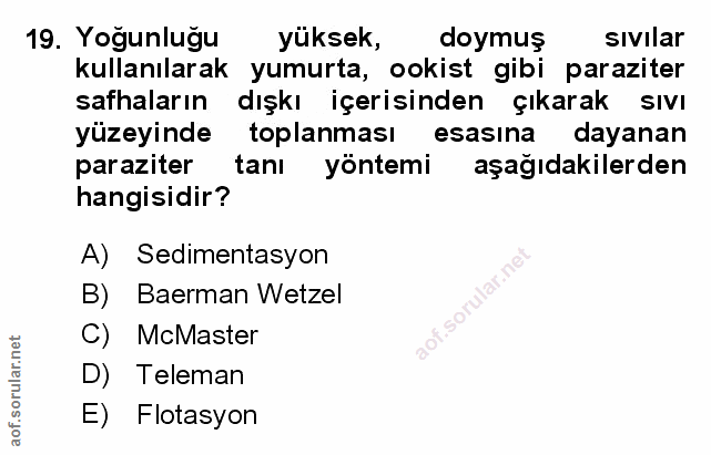 Soru 19