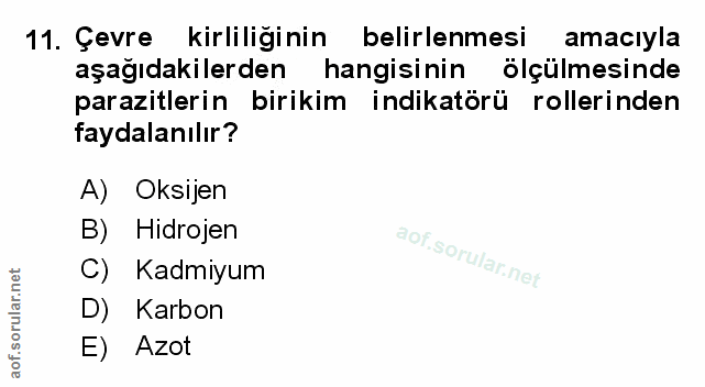 Soru 11