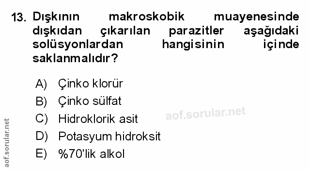 Soru 13