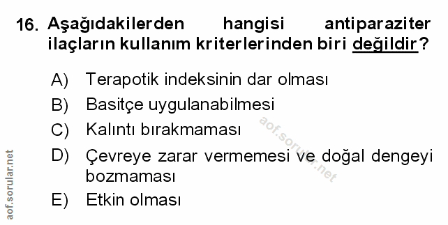 Soru 16