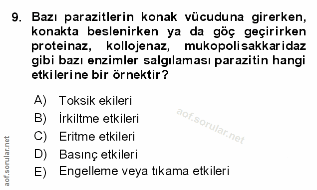 Soru 9