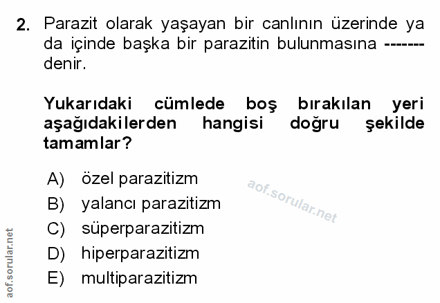 Soru 2