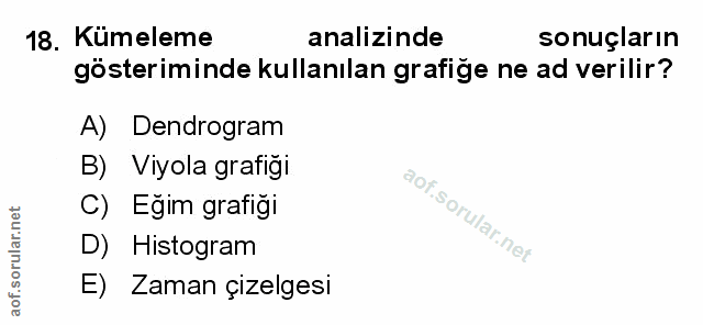 Soru 18