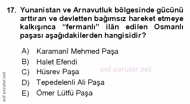 Soru 17