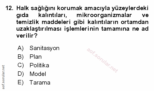 Soru 12