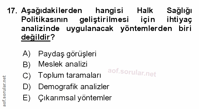 Soru 17