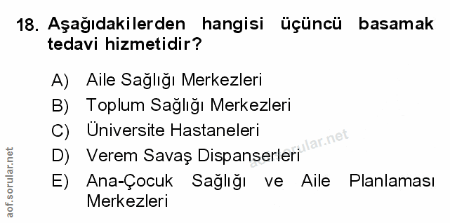 Soru 18