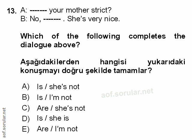 Soru 13