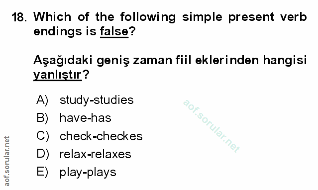 Soru 18