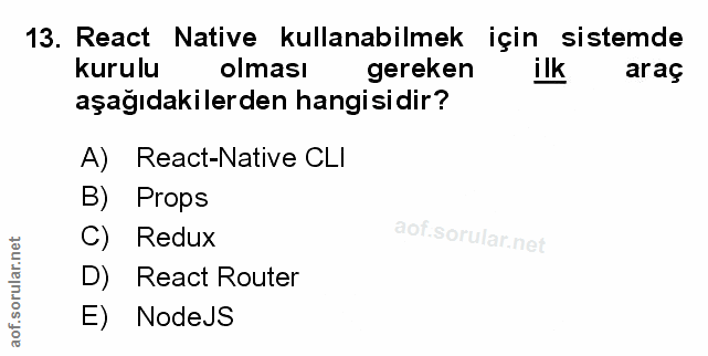 Soru 13