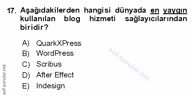 Soru 17