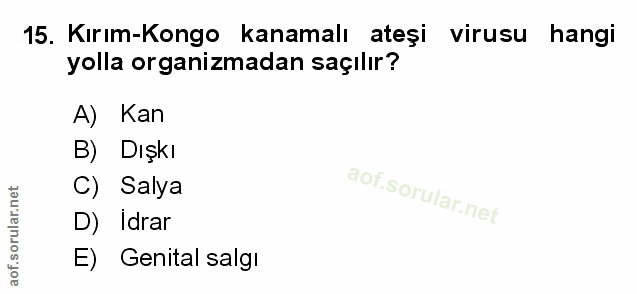 Soru 15
