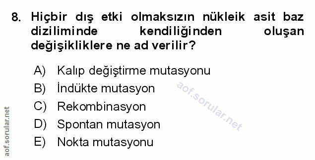 Soru 8