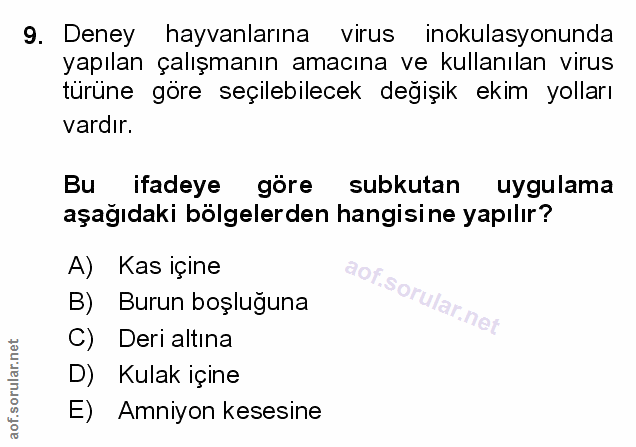 Soru 9