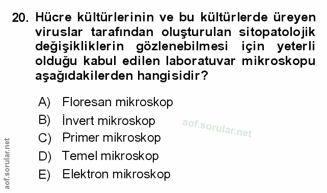 Soru 20