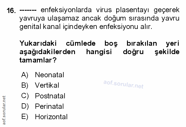 Soru 16