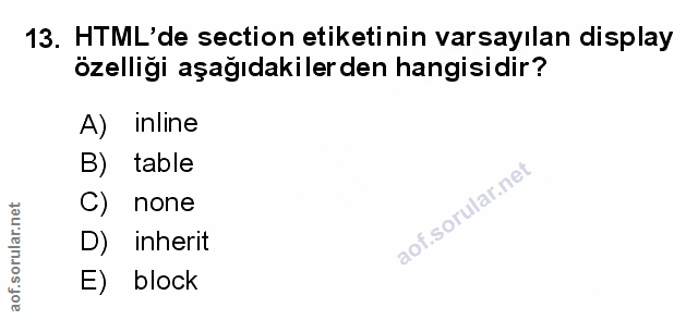 Soru 13