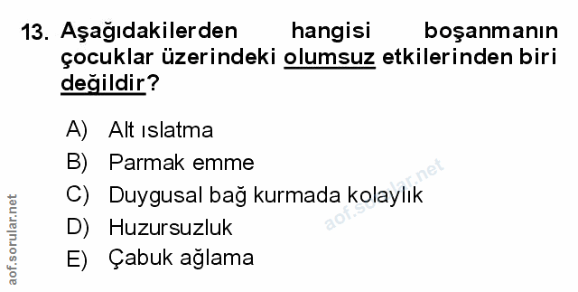 Soru 13