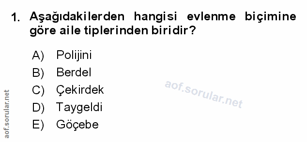 Soru 1