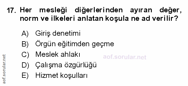 Soru 17