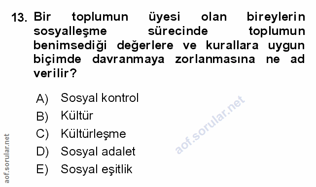 Soru 13