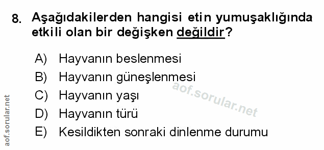 Soru 8