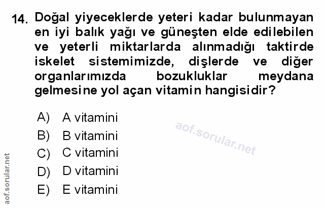 Soru 14