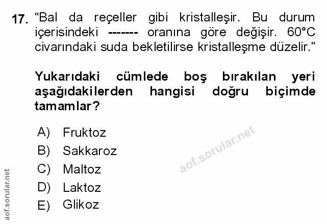 Soru 17