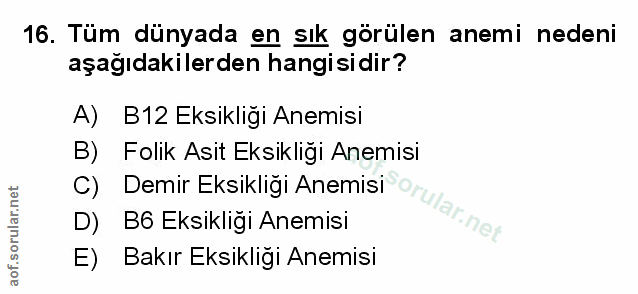 Soru 16