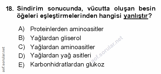 Soru 18
