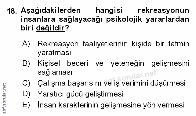 Soru 18