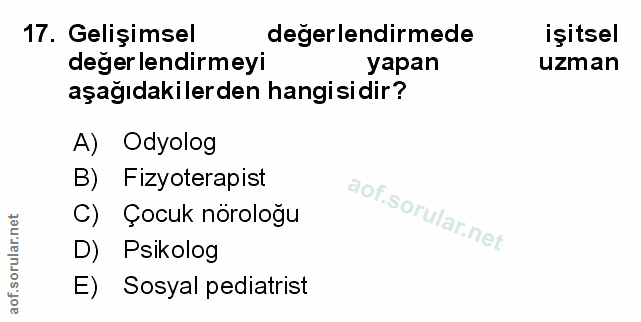 Soru 17