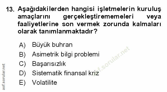 Soru 13