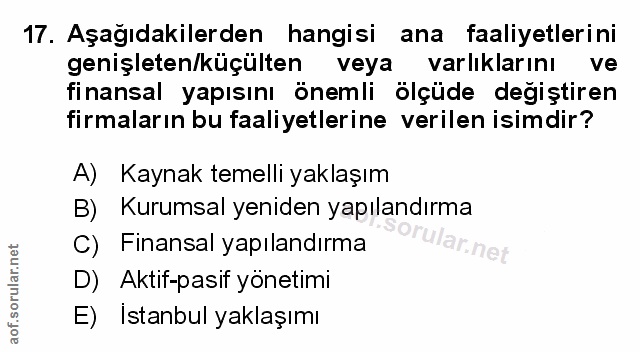 Soru 17
