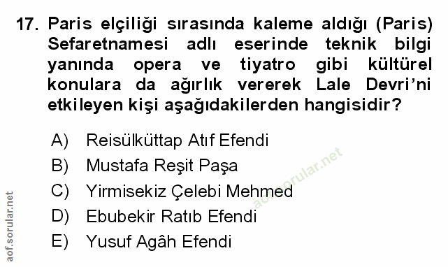 Soru 17
