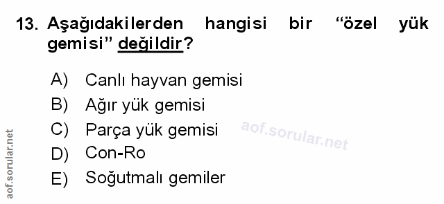 Soru 13