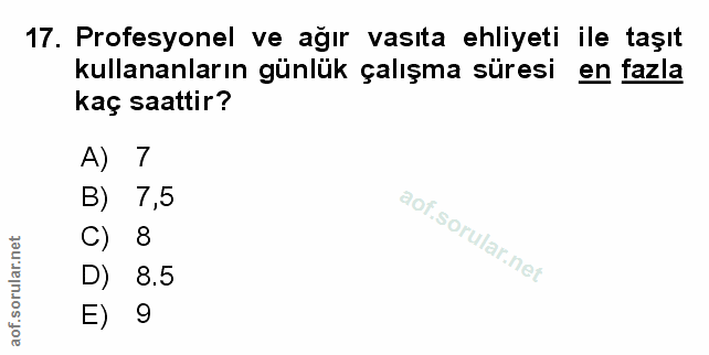 Soru 17