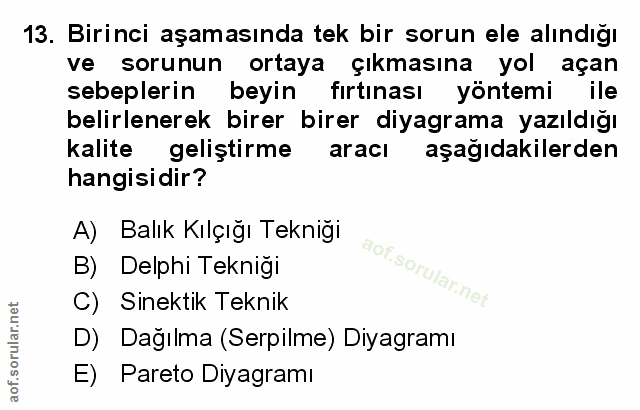 Soru 13