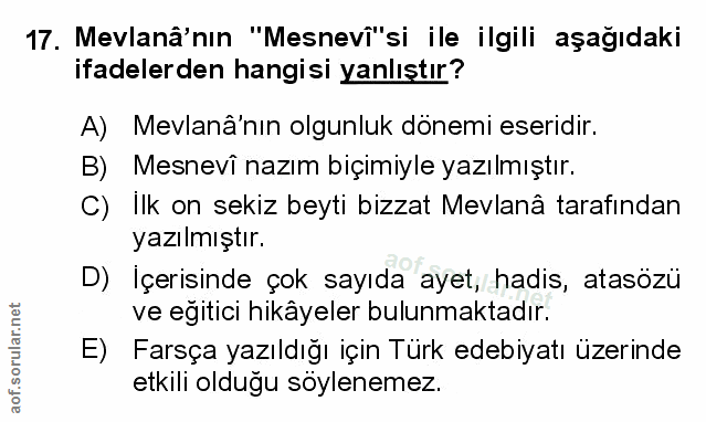 Soru 17