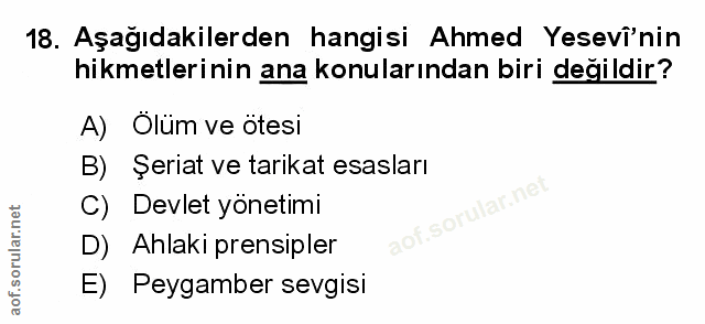 Soru 18